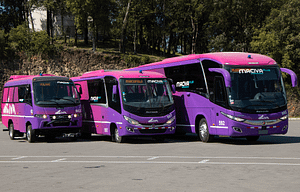 Imagem ilustrativa da notícia: Marcopolo entrega 32 ônibus para o Grupo Civa, do Peru
