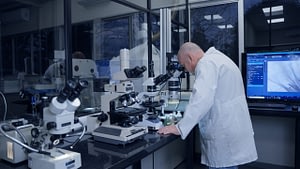 Imagem ilustrativa da notícia: Orgulho brasileiro