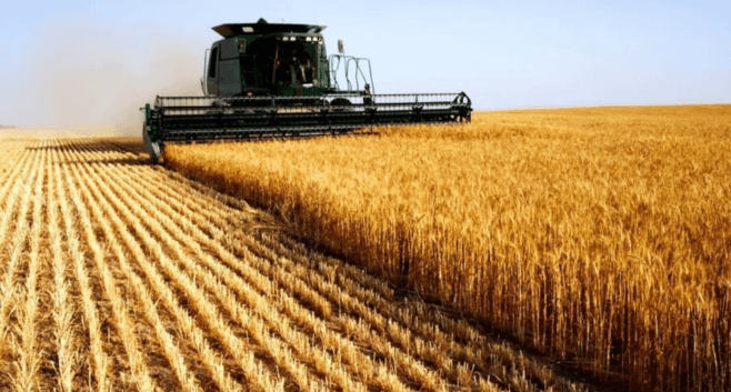 Imagem ilustrativa da notícia: Vendas de máquinas agrícolas crescem 35%