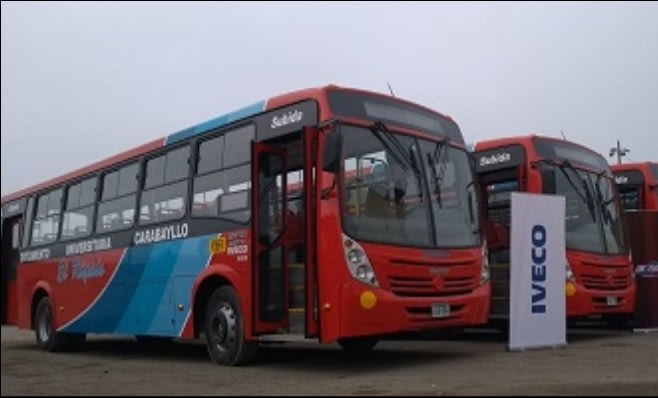 Imagem ilustrativa da notícia: Iveco vende catorze ônibus no Peru