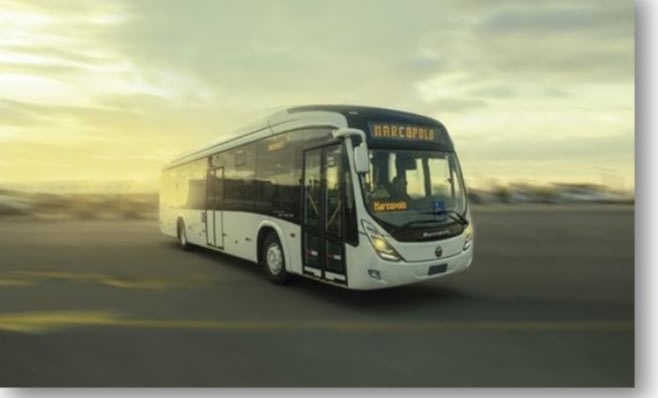 Imagem ilustrativa da notícia: Marcopolo vende 300 ônibus para a Nigéria
