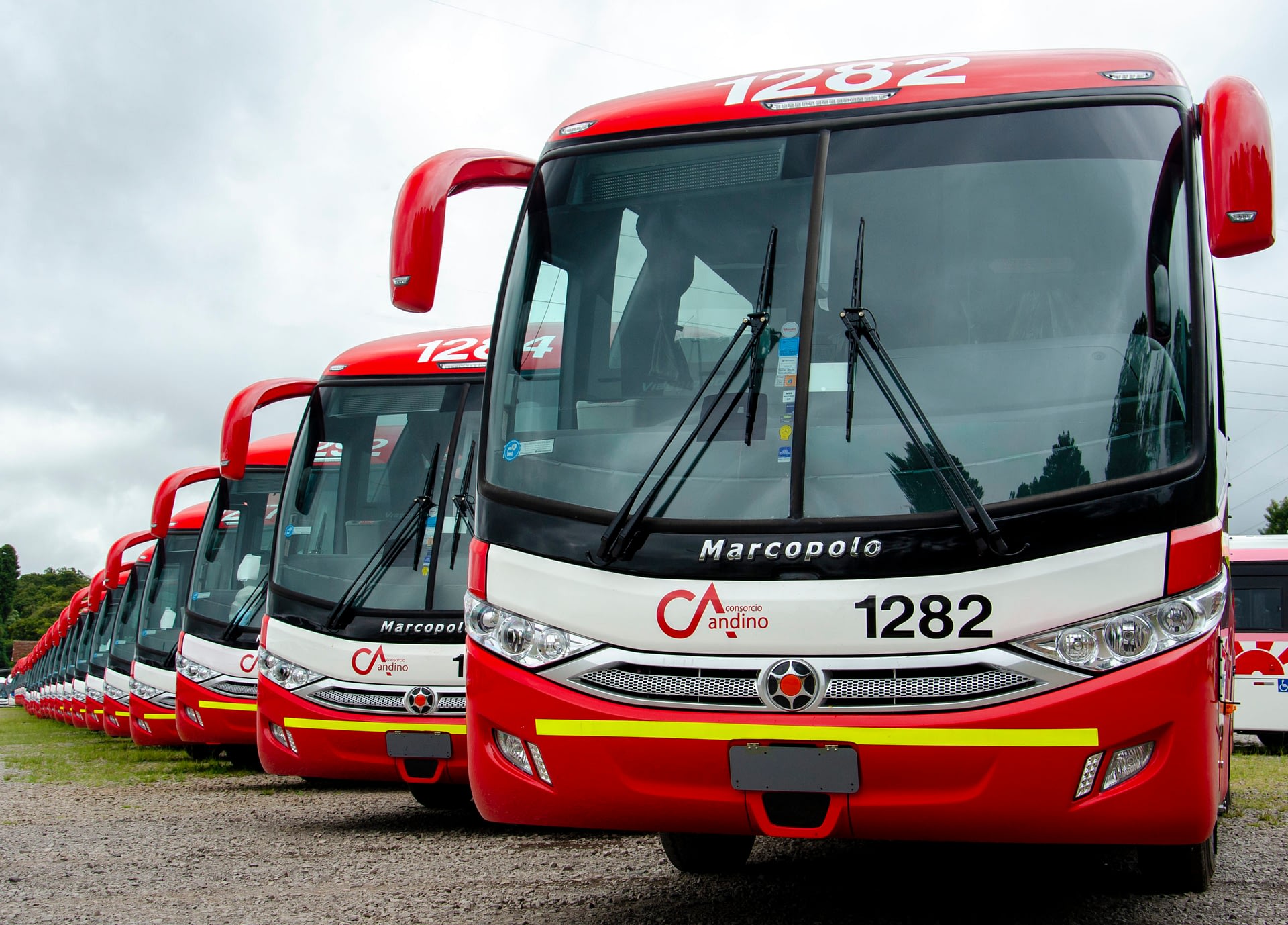 Imagem ilustrativa da notícia: Mercedes-Benz exporta 328 chassis de ônibus para o Chile