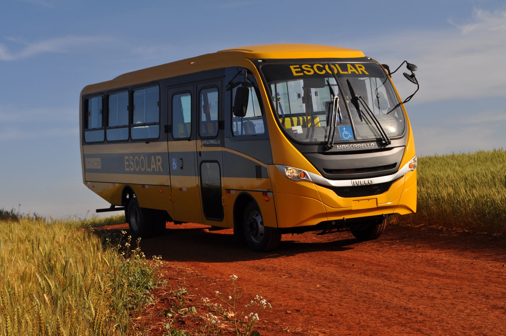 Imagem ilustrativa da notícia: Iveco fornecerá 7,1 mil ônibus para o Caminho da Escola