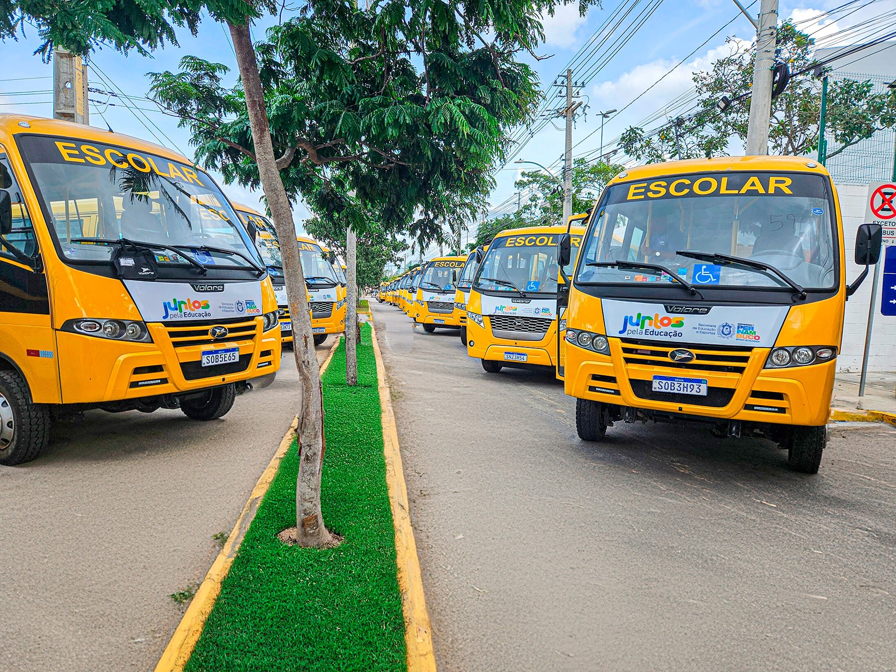 Imagem ilustrativa da notícia: Caminho da Escola sustenta indústria de ônibus no primeiro semestre