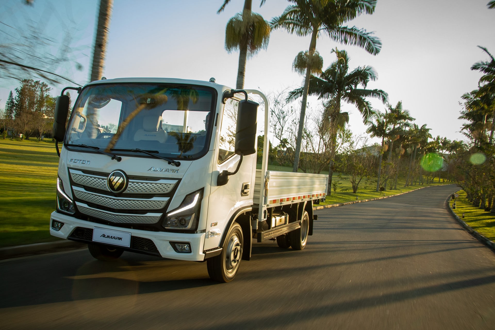 Imagem ilustrativa da notícia: Foton inicia venda do caminhão Aumark S 315 MT