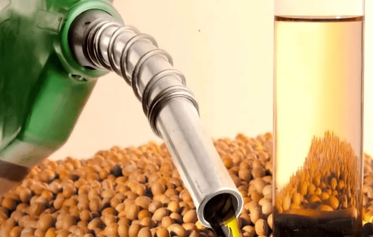 Imagem ilustrativa da notícia: Descarbonização pesada