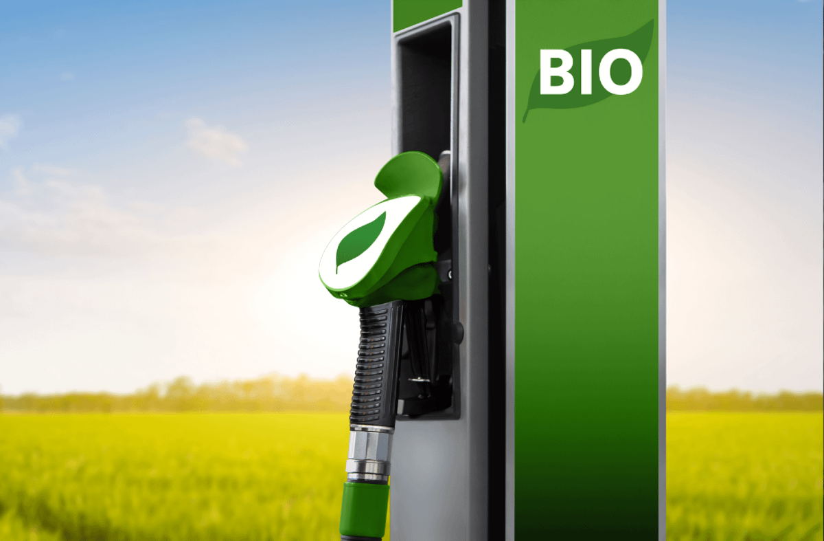 Imagem ilustrativa da notícia: Brasil lidera mobilidade limpa mas precisa avançar