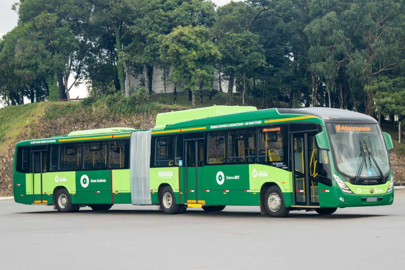 Imagem ilustrativa da notícia: Scania e Marcopolo entregam primeiros ônibus articulados a biometano para Goiânia
