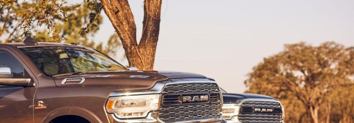 Ram
